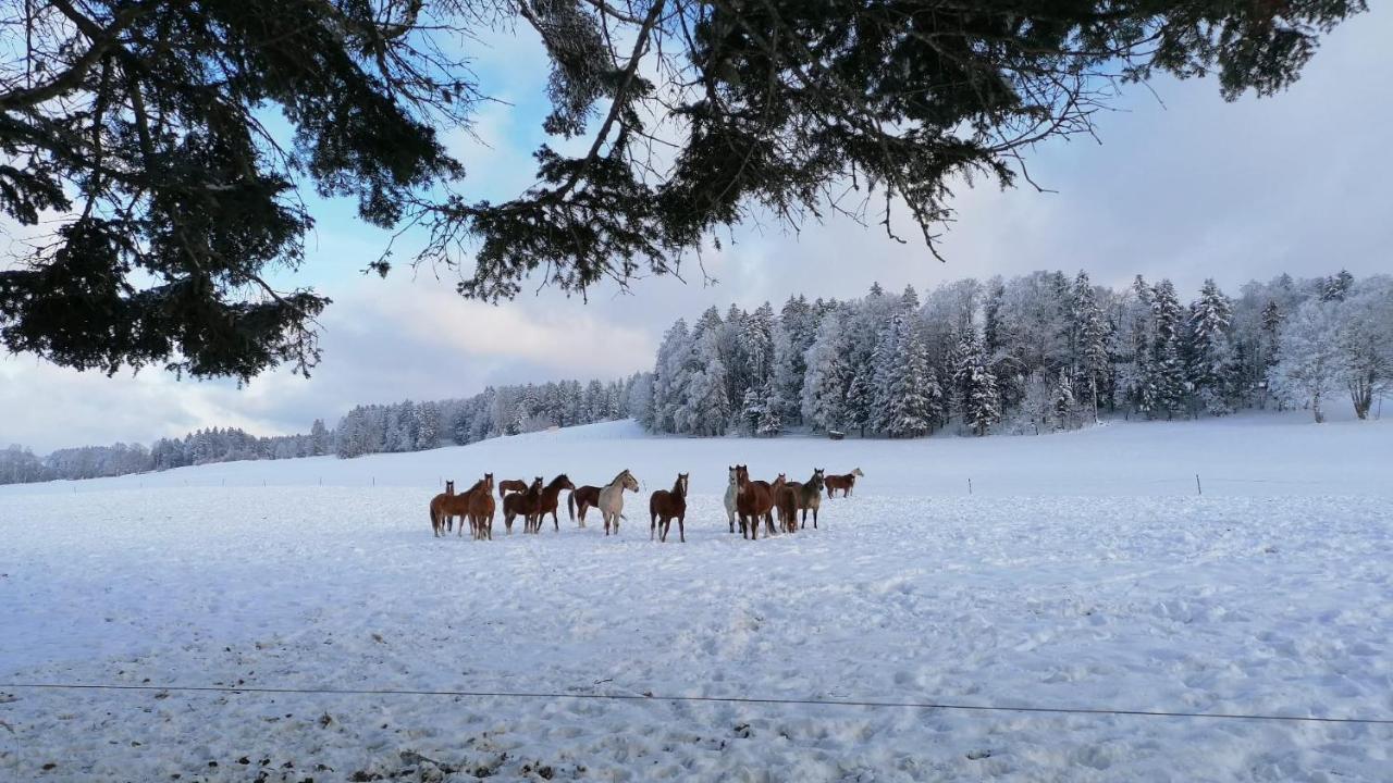 Rural 1666 Inn Saignelégier